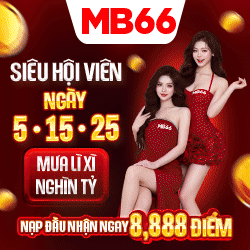 logo mb66